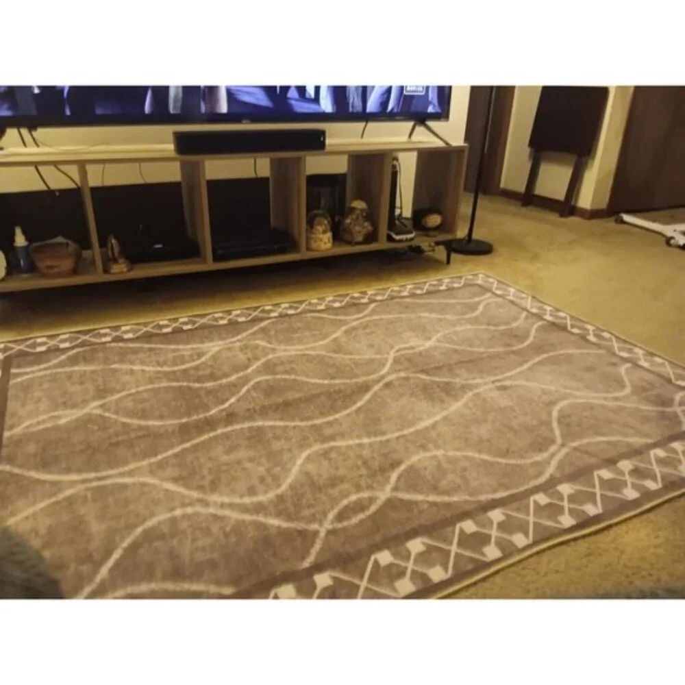 New 4x6 Washable Area Rug, Non-Slip Low Pile Carpet for Home & Room Decor